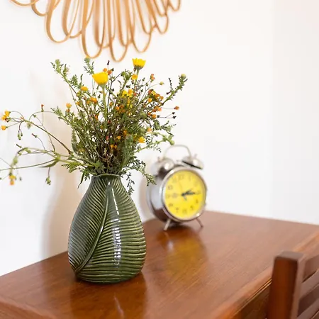 Donothing House - - *